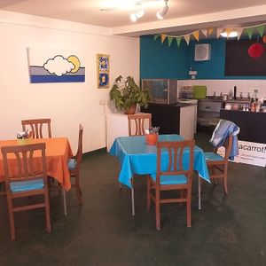 A view from inside the latest Pop Up at Craignish village hall Ardfern. at Catchacarrot Vegan in Ardfern