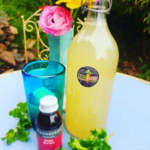 Homemade minty rose lemonade. at Catchacarrot Vegan in Ardfern