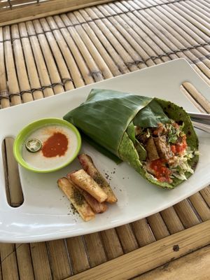 Tortilla wrap with veggies, tofu and tempeh   at Mama's Garden - Maybe closed in 