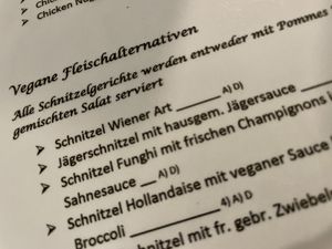 vegan schnitzel at Pizzeria Trattoria Sorrentino in Cologne