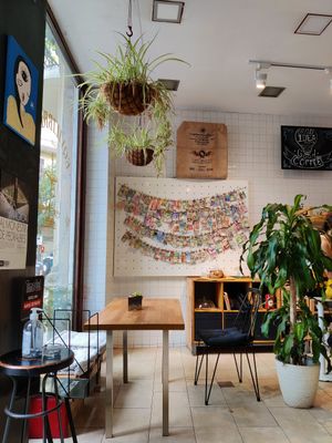 Cute wall with plants and decor at Eqvilibrivm Cafe in Barcelona
