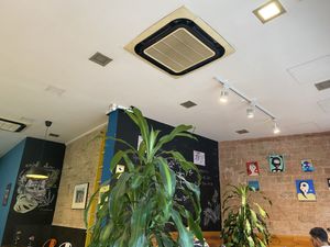 Decor   at Eqvilibrivm Cafe in Barcelona