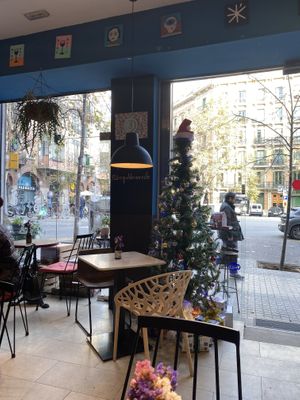 Tree   at Eqvilibrivm Cafe in Barcelona