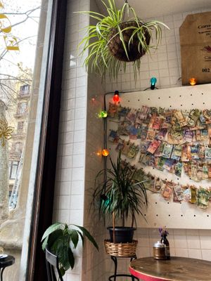   at Eqvilibrivm Cafe in Barcelona