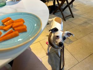  at Eqvilibrivm Cafe in Barcelona