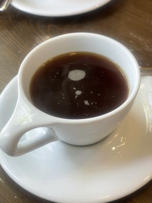 Brew  at Eqvilibrivm Cafe in Barcelona