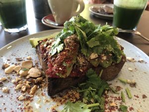 Avocado toast at Eqvilibrivm Cafe in Barcelona
