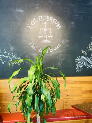 Equilibrium  at Eqvilibrivm Cafe in Barcelona