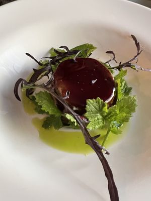   at Pisco in Vila Do Bispo