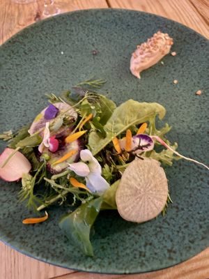   at Pisco in Vila Do Bispo