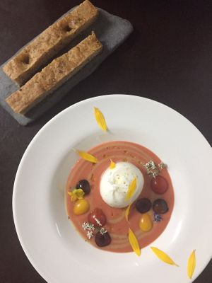 burrata at Pisco in Vila Do Bispo