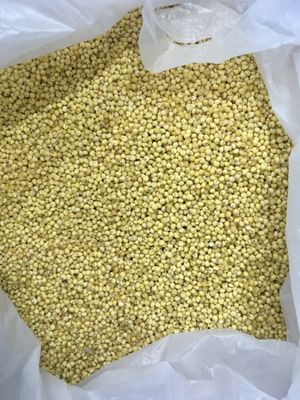 The lady showed us the millet she mixes into the bibimbap rice  at Babiboyak in Jeju