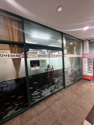   at Babiboyak in Jeju