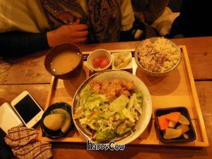 One of the cheaper dishes at Mumokuteki Vegan Cafe in Kyoto