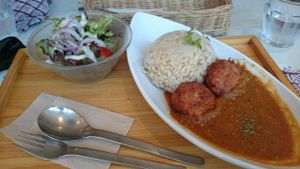 Katsu curry. Yum! at Mumokuteki Vegan Cafe in Kyoto