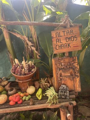   at IX CAT IK in Valladolid