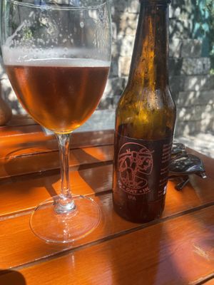   at IX CAT IK in Valladolid