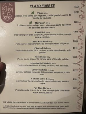   at IX CAT IK in Valladolid