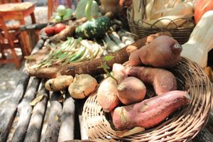 local market at IX CAT IK in Valladolid