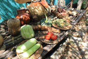 local vegetables at IX CAT IK in Valladolid