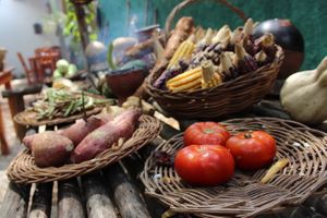 local tomatoe at IX CAT IK in Valladolid