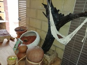 Cacao at IX CAT IK in Valladolid