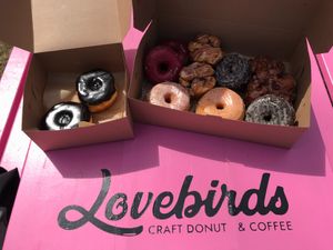 Boston cream, berry, monkey muffins, glazed brioche, chocolate glazed, and banana fritters at Lovebirds Donuts in Kittery