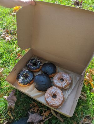 Ganache Dipped, Boston Cream, and Vanilla Brioche at Lovebirds Donuts in Kittery