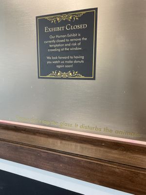   at Lovebirds Donuts in Kittery