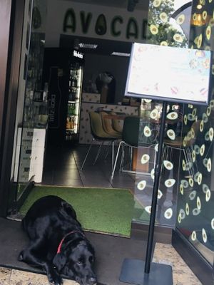 Eingangskontrolle  at Avocadobar in Wurzburg