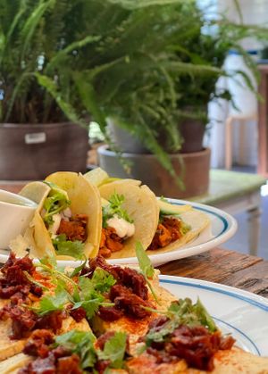 Jackfruit Tacos   at Planted in Brooklyn