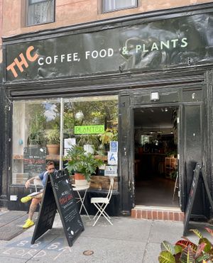 Storefront   at Planted in Brooklyn