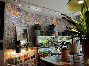   at Planted in Brooklyn