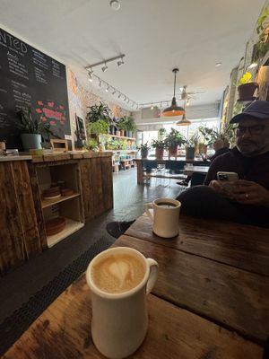   at Planted in Brooklyn