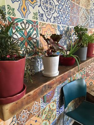 Plants!!!! at Planted in Brooklyn