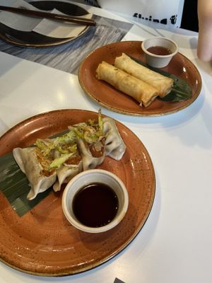 Vegan Gyoza & vegan spring rolls  at UDON in Malaga