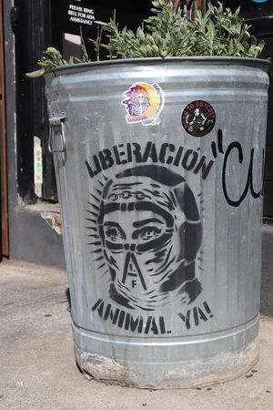  at Seitan's Helper in Brooklyn