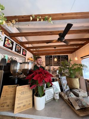  #Veganuary at PLANT SHACK - Altea in Altea