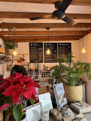  #Veganuary at PLANT SHACK - Altea in Altea