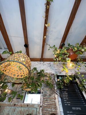  #Veganuary at PLANT SHACK - Altea in Altea