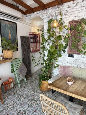   at PLANT SHACK - Altea in Altea