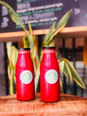 PLANTSHACKER PROTEIN SMOOTHIES - 100% RAW at PLANT SHACK - Altea in Altea