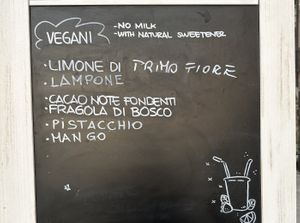 vegan ice cream menu  at Gelateria Loggetta in Mantova