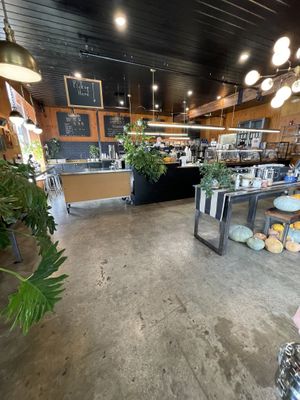 Yummy food lots of vegan option a good coffee at Plank Coffee in Healdsburg