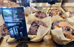   at Plank Coffee in Healdsburg