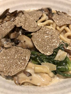 Udon Noodles (with extra shaved truffle) at PLANTA Queen in Toronto