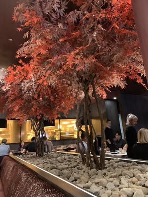 Interior Decor at PLANTA Queen in Toronto