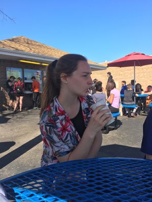 Vegan summertime at Dairy Star Ice Cream in Lincolnwood