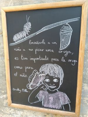 Muy guapa! at CReeA in Tarragona