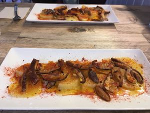   at CReeA in Tarragona